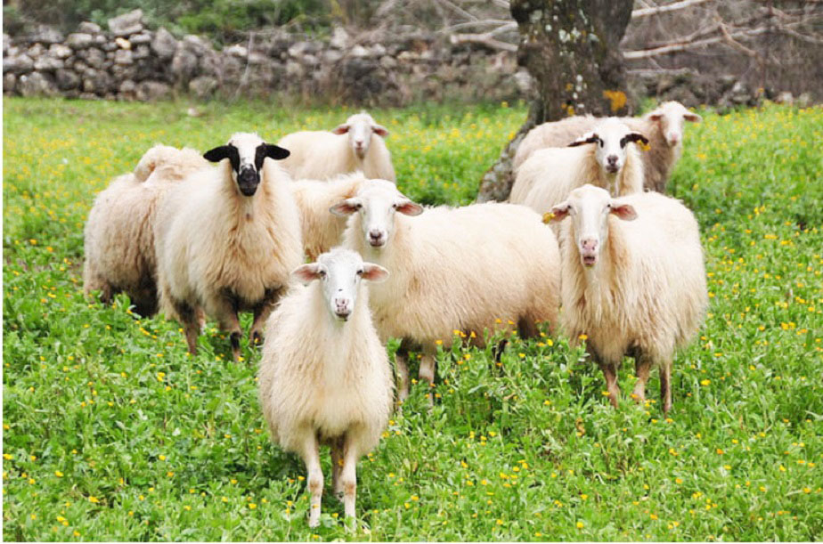 Εφημερίδα ΕΡΜΗΣ / ErmisNews.gr